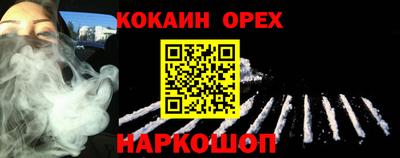 a pvp Новозыбков