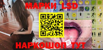 a pvp Новозыбков