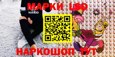a pvp Новозыбков