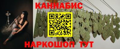 a pvp Новозыбков