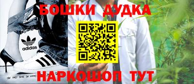 a pvp Новозыбков