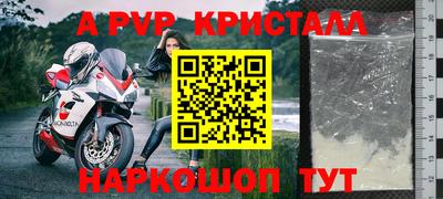a pvp Новозыбков