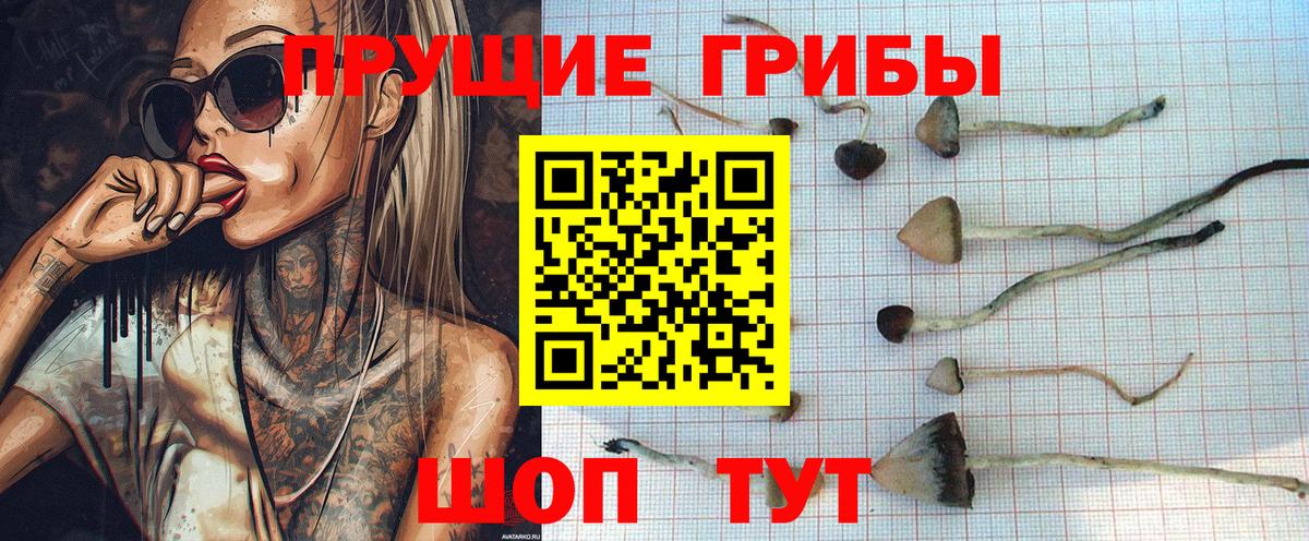 Псилоцибиновые грибы ЛСД  Вход с VPN  Бирск 